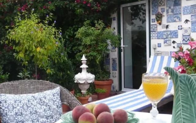 Oliveirinha - photo 5