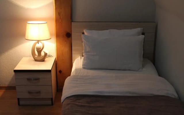 Hotel Aleksandria - photo 5