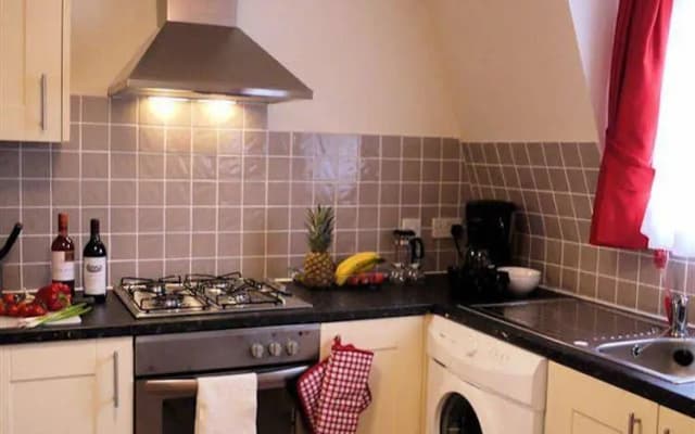 Tulip Apartments London - photo 4
