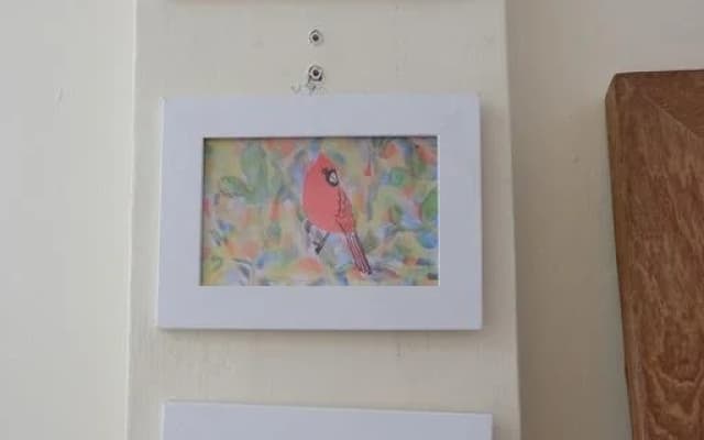 Jittree - photo 5