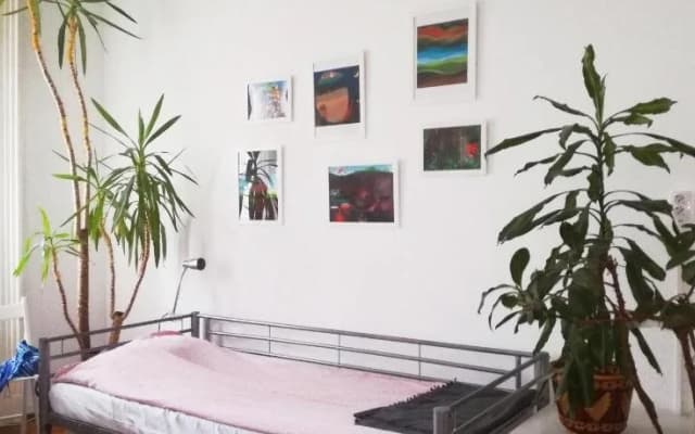 Activity Hostel - photo 3