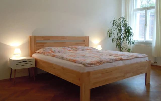 Apartments Vysehrad - photo 4