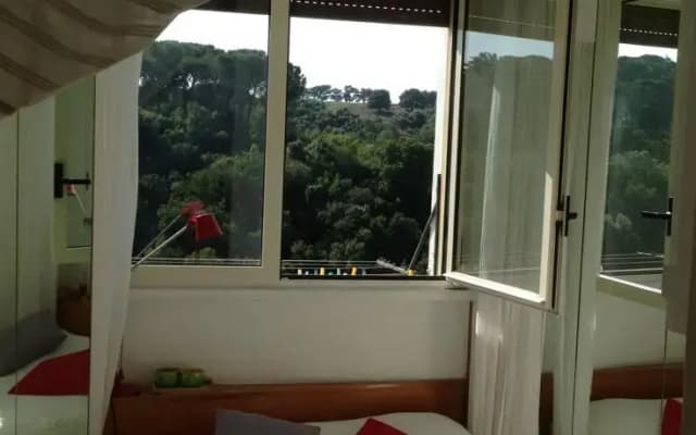 Piccolino - photo 2