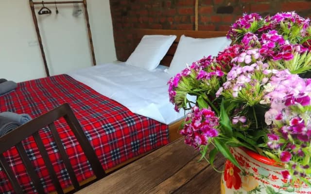 Old Walls Hostel - photo 5