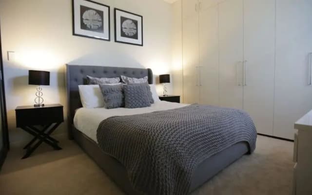 Spacious Apartment Close to Sydney CBD - photo 2
