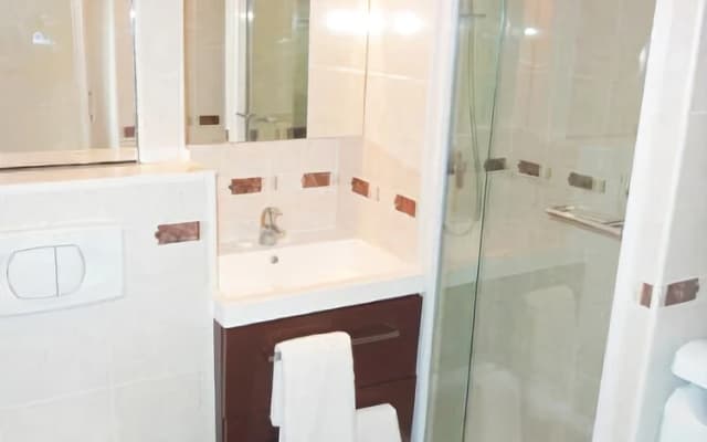Locaflat boulevard de Grenelle Studio - photo 5