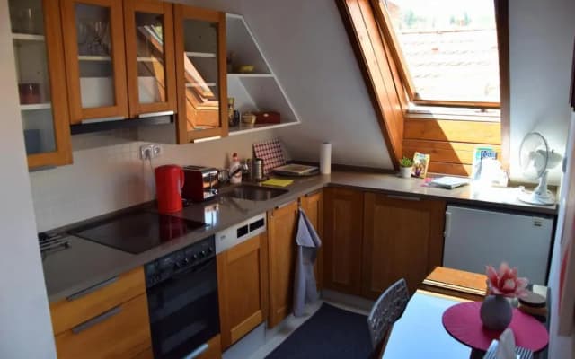 Apartman Mala Strana - photo 5