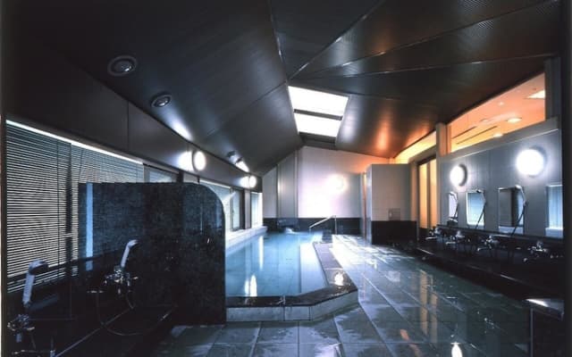 Pullman Paris Rive Gauche - photo 4