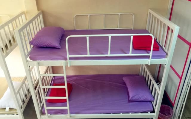 Small Elephant Hostel - photo 5