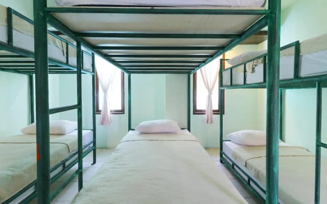 Buki Hostel Canggu - Adults Only - photo 3