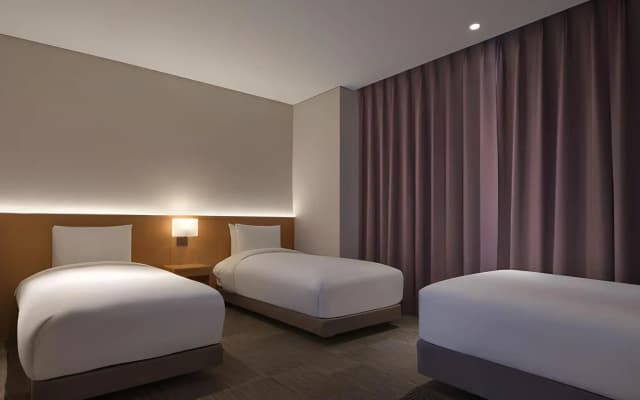 Sotetsu Hotels The Splaisir Seoul Dongdaemun - photo 3