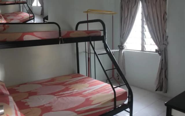 The Mawar - photo 3