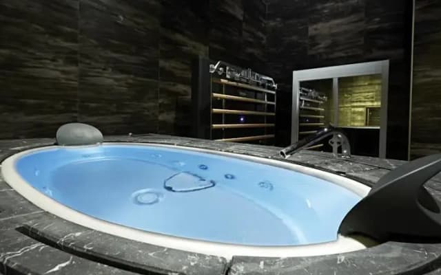 Platinum Royal Suite - photo 2