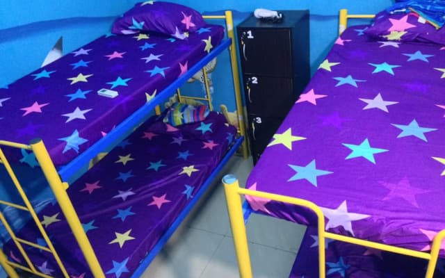Bubble Backpackers - photo 4