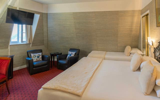 Hotel Delavigne - photo 4