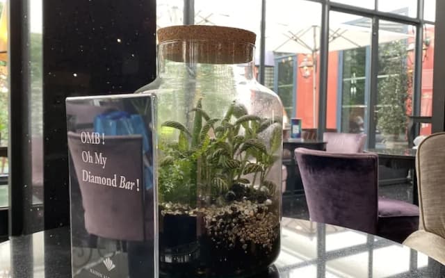 Maison Albar - Le Diamond - photo 5