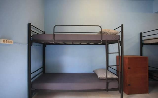 Captain Goose Hostel - photo 3