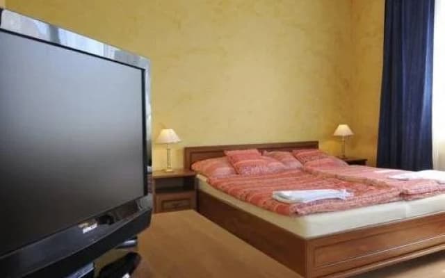 Apartments Barbora Prague - photo 4