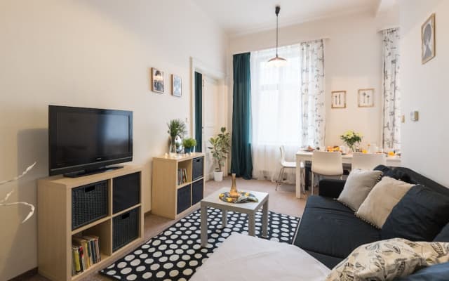 Vladislavova Apartments - photo 5