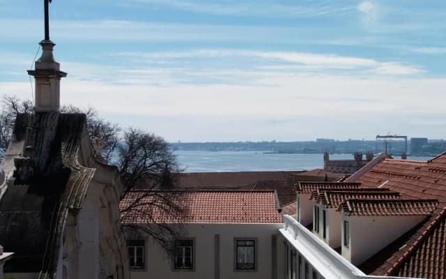Cibele by Patio 25 - photo 4
