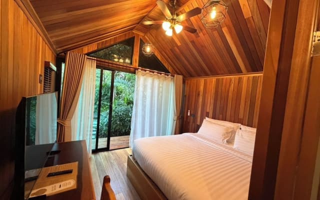Lush Inn Phuket - photo 2