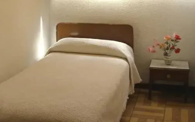 Hostal Veguin - photo 3