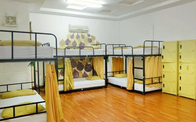 Danang Backpackers Hostel - photo 4