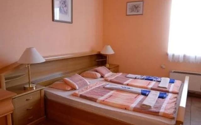 Pension Domino - photo 2