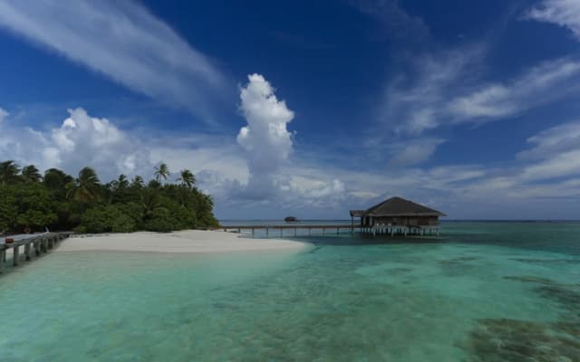 Medhufushi Island Resort - photo 4