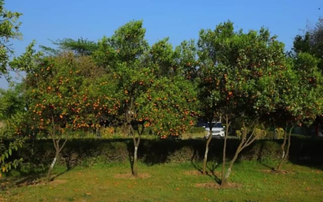 Haritma Resort - photo 2