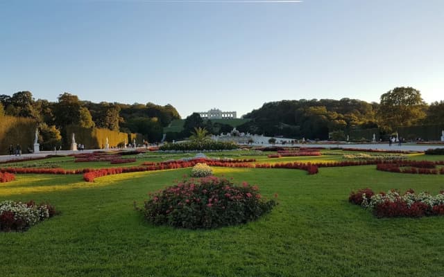 Sunny Apartments - Schoenbrunn - photo 2