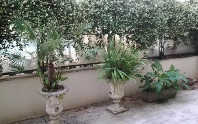 Mamma Assunta - photo 4