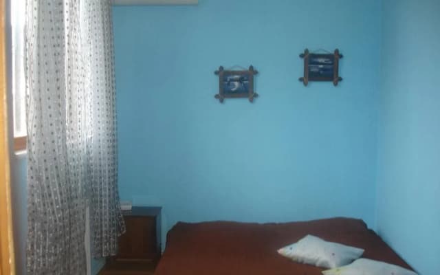 Tamar Guest House - photo 4