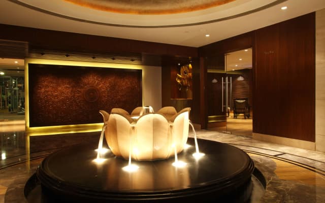 Radisson Blu Plaza Delhi Airport - photo 2