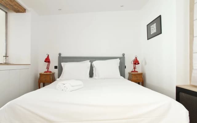 St. Germain des Pres Mabillon Apartment - photo 5