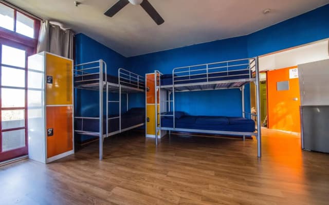 Mad Monkey Backpackers Bayswater - photo 2