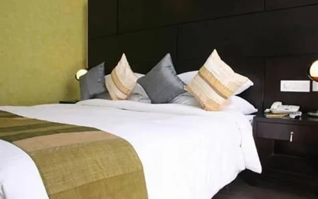 Dolphinn Grand - photo 5