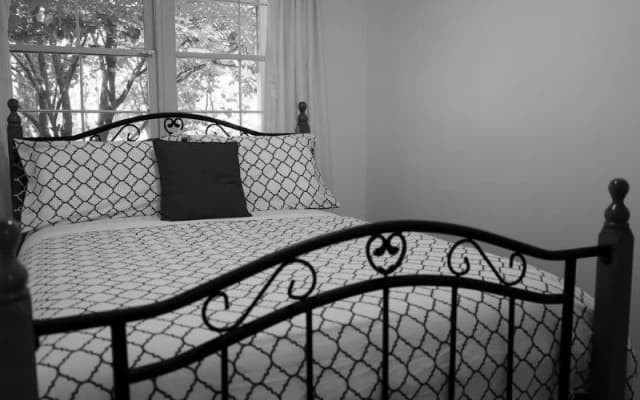Leura Camellias - photo 4
