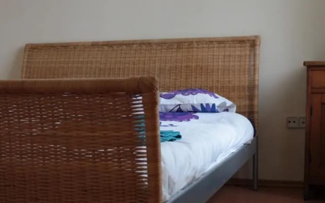 Arpa Flat Rumba - photo 4