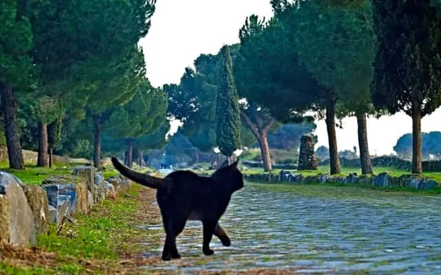 B&B Appia Felis - photo 3