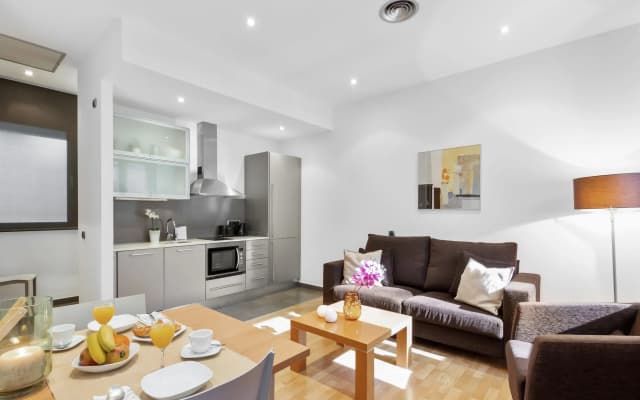 Fisa Rentals Ramblas Apartments - photo 5