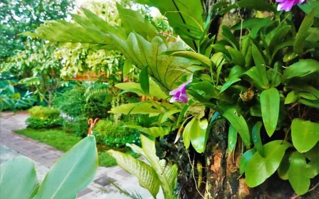 Ruen Tai Boutique - photo 3