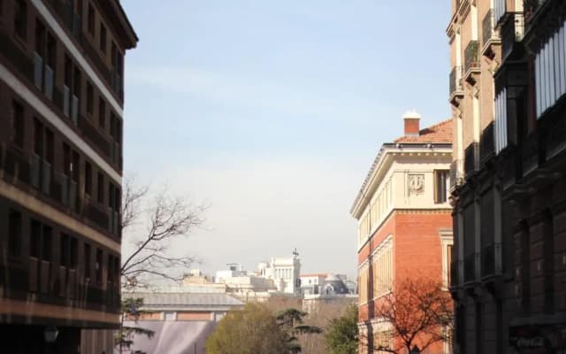 Cosy Apartment Prado Museum - photo 4