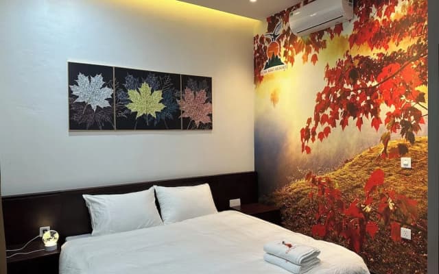 King Bavi Resort - photo 4