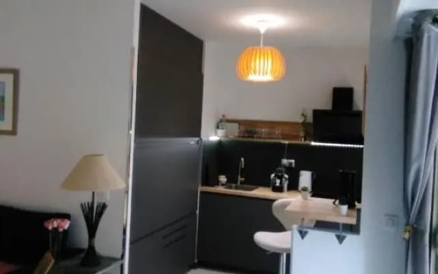 NICE- GAIRAUT - JARDIN PRIVE- GRAND F1 LUMINEUX-Piscine Collective - photo 4