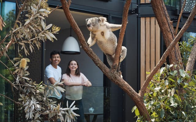 Wildlife Retreat at Taronga - photo 5