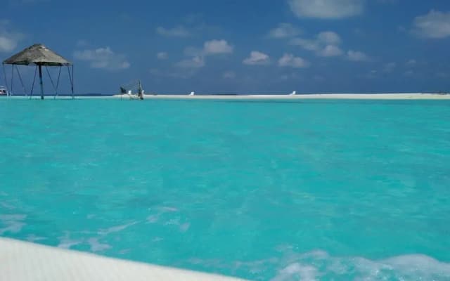 Maldives Dive Loabi - photo 5
