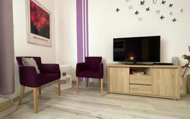 ABT Apartments Karoly - photo 4
