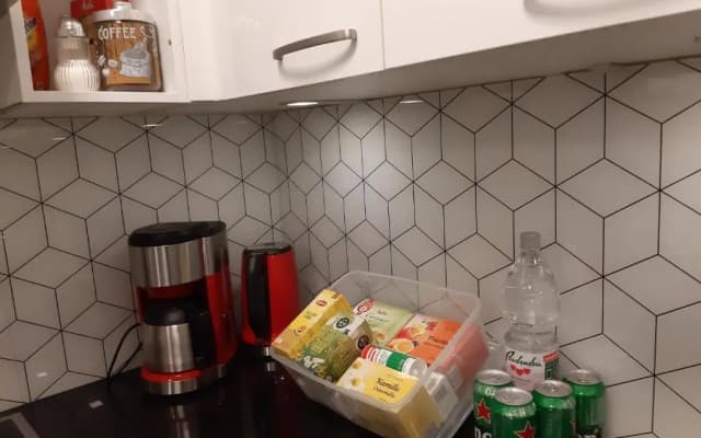 Vienna Lion Apartment - photo 2