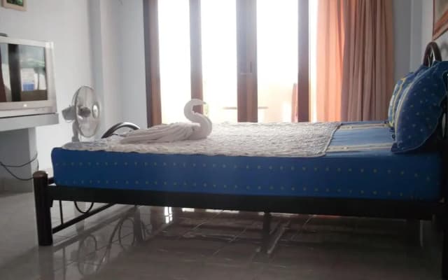Pott Guesthouse - photo 3